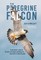 The Peregrine Falcon