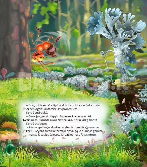 Skruzdėliukas Nežiniukas. 7 knyga | Knygos.lt