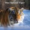 One Special Tiger