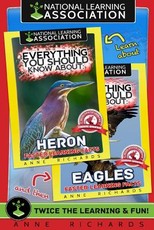 Everything You Should Know About
