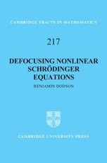 Defocusing Nonlinear SchrÃ¶dinger Equations