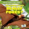 Are Flying Foxes Really Foxes?