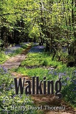 Walking