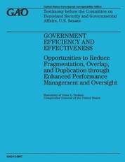 Government Efficiency and Effectiveness