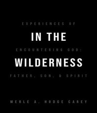 In the Wilderness: Experiences of Encountering God