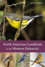North American Landbirds in the Western Palearctic