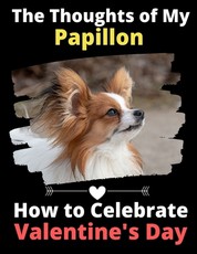 The Thoughts of My Papillon