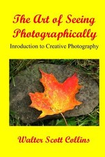The Art of Seeing Photographically