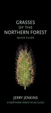 Grasses of the Northern Forest