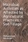 Microbial Activities as Affected by Agricultural Practices