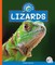 Lizards