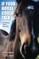 If Your Horse Could Talk