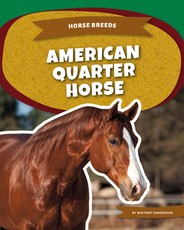 American Quarter Horse