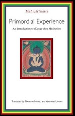 Primordial Experience