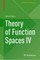 Theory of Function Spaces IV