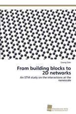 From building blocks to 2D networks