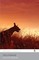 Jock of The Bushveld