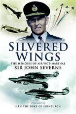 Silvered Wings