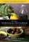 The New Mediterranean Diet Cookbook