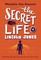 The Secret Life of Lincoln Jones