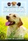 The History of the Labrador