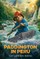 Paddington 3: The Junior Novel