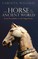 Horse in the Ancient World