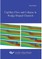 Capillary Flow and Collapse in Wedge-Shaped Channels