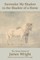 Surrender My Shadow to the Shadow of a Horse