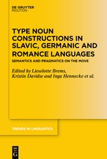 Type Noun Constructions in Slavic, Germanic and Romance Languages