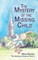 The Mystery of the Missing Child