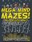 Mega Mind Mazes! Maze Activity Book