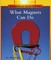 What Magnets Can Do (Rookie Read-About Science: Physical Science: Previous Editions)
