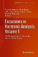 Excursions in Harmonic Analysis, Volume 1