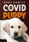 The Covid Puppy