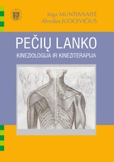 Pečių lanko kineziologija ir kineziterapija
