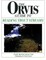 Orvis Guide to Reading Trout Streams