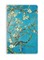 Vincent Van Gogh: Almond Blossom (Soft Touch Journal)