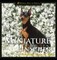 Miniature Pinscher