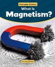 What Is Magnetism?