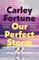 Our Perfect Storm