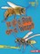Is It a Bee or a Wasp?