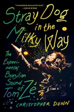Stray Dog in the Milky Way