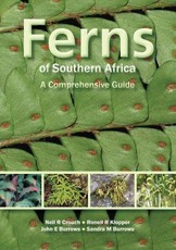 Ferns of Southern Africa