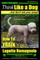 Lagotto Romagnolo, Lagotto Romagnolo Training AAA AKC