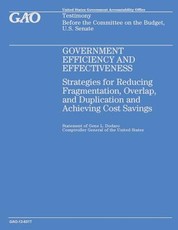 Government Efficiency and Effectiveness