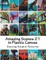 Amazing Scenes 21