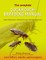 The Complete Cockroach Breeding Manual
