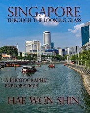 Singapore Through the Looking Glass