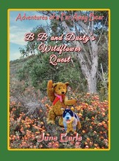 Adventures of a Far Away Bear